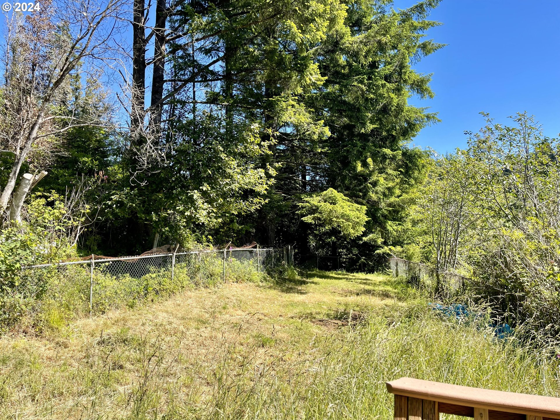 96333 Wildwood Road Brookings, OR 97415 - Photo 4 of 19 a view of backyard with green space
