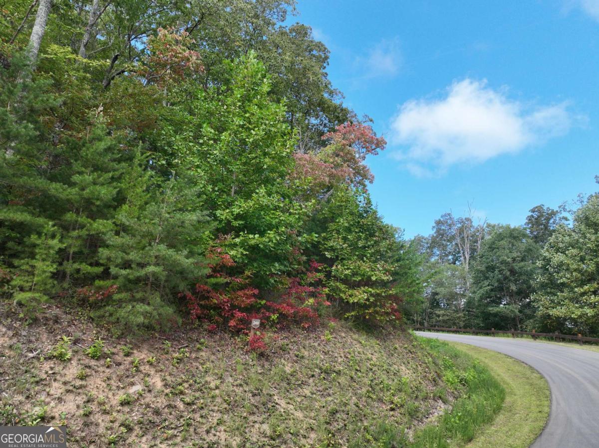 249 Andes Ridge Talking Rock, GA 30175 - Photo 19 of 20