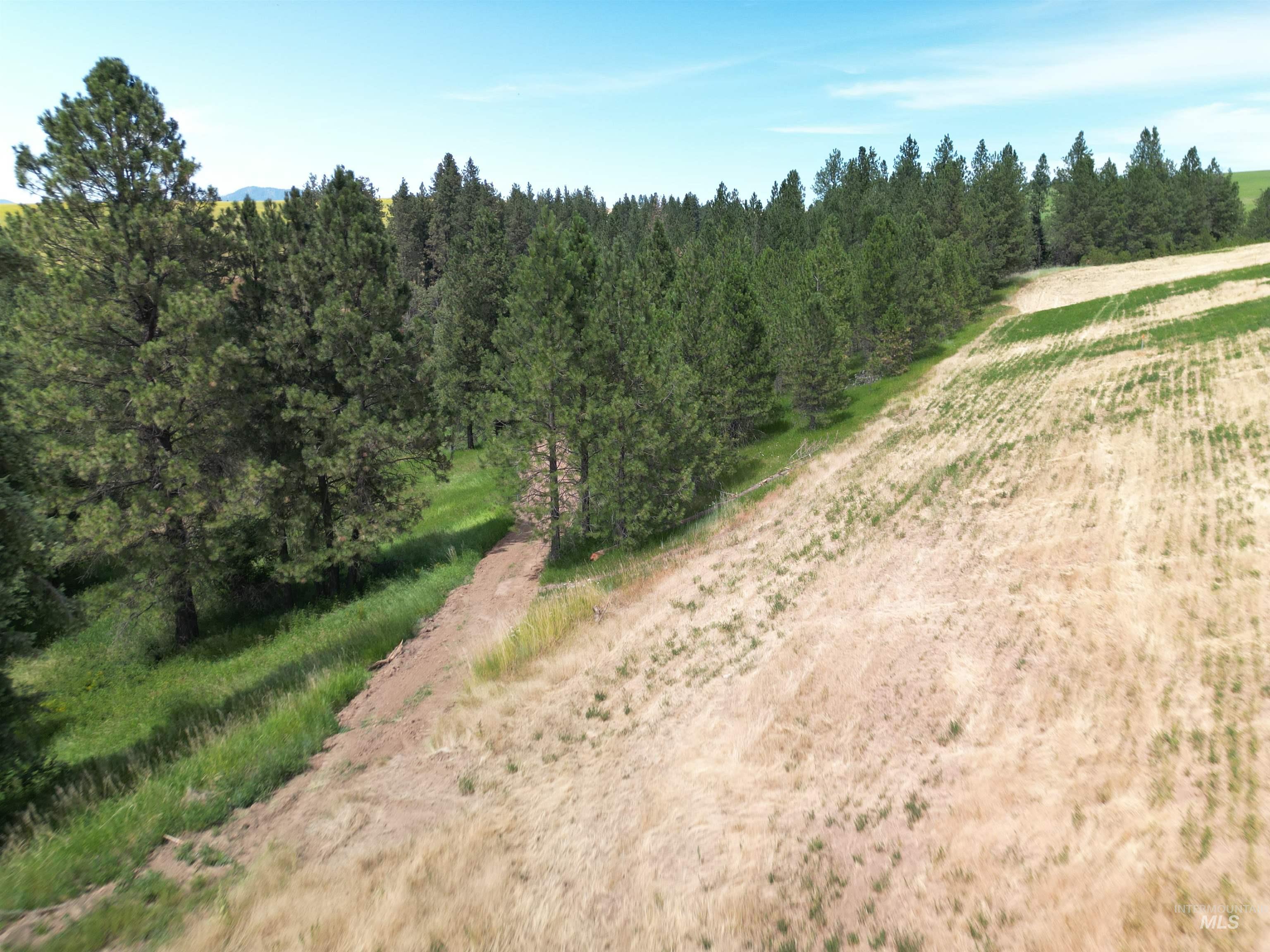 0 Parkins Road Troy, ID 83871 - Photo 9 of 33