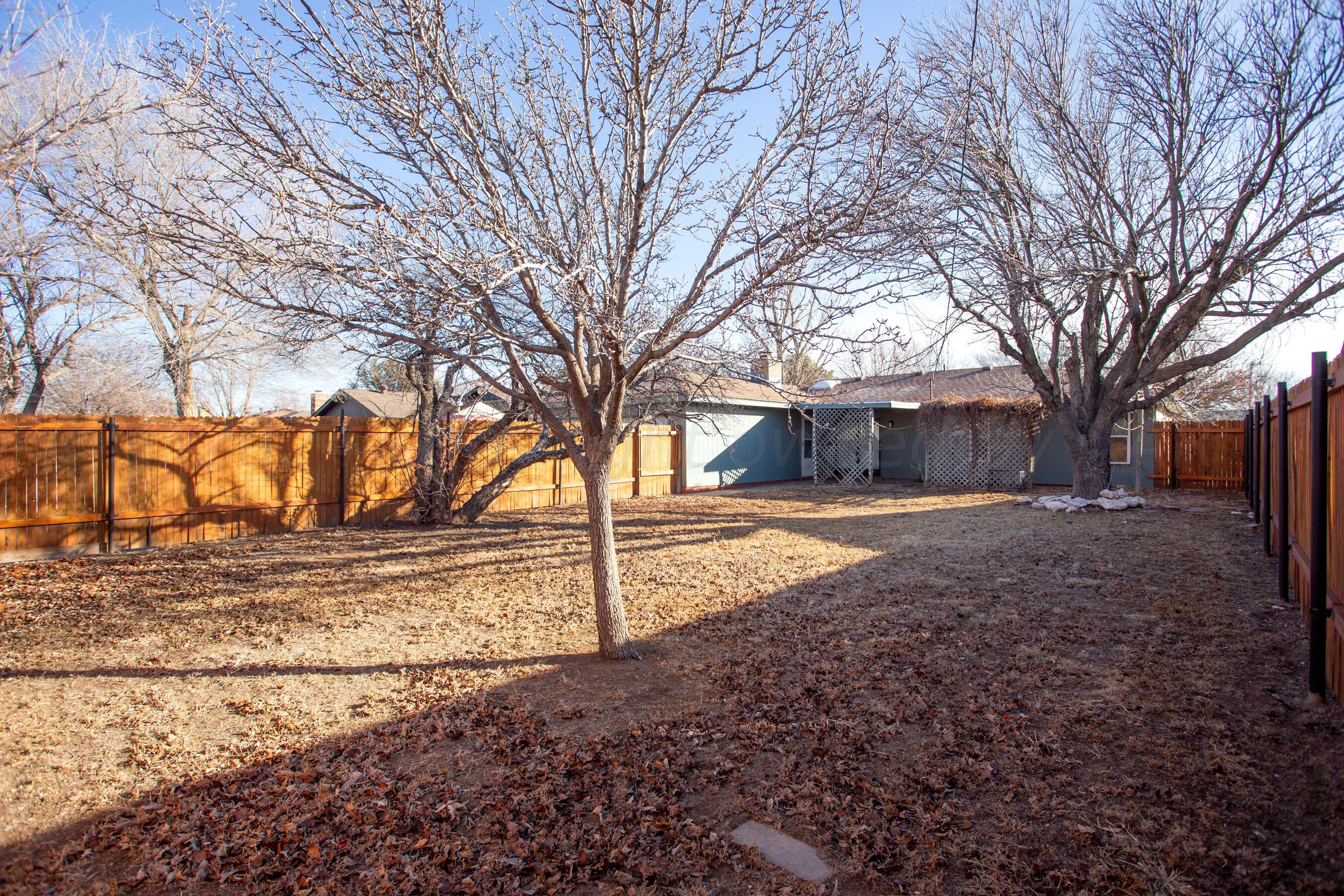 8328 Lamount Drive Amarillo, TX 79110 - Photo 23 of 24 a tree in the middle of a yard