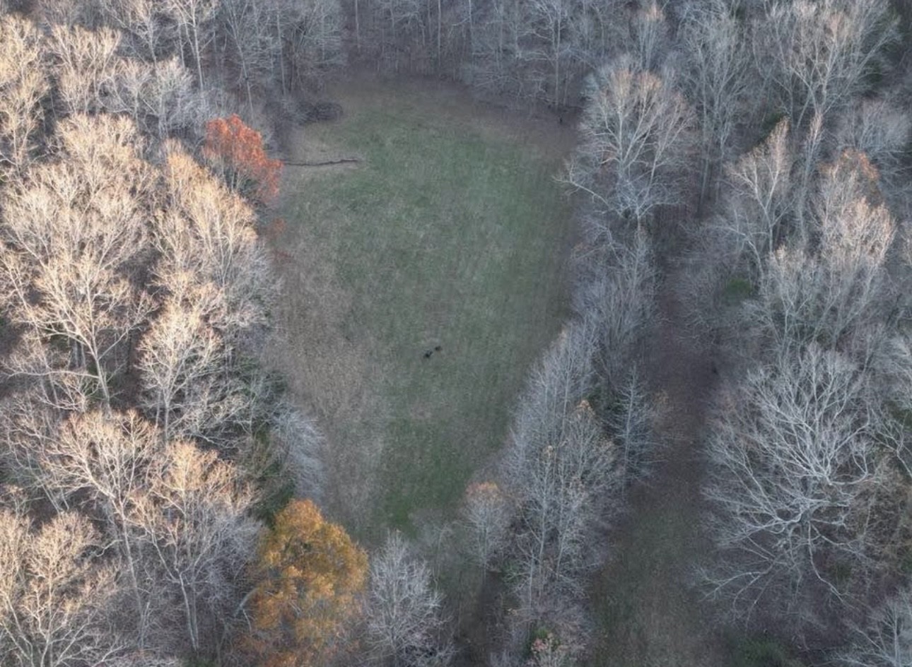 440 Joe Adams Road Erin, TN 37061 - Photo 4 of 10 Gallery Image 4