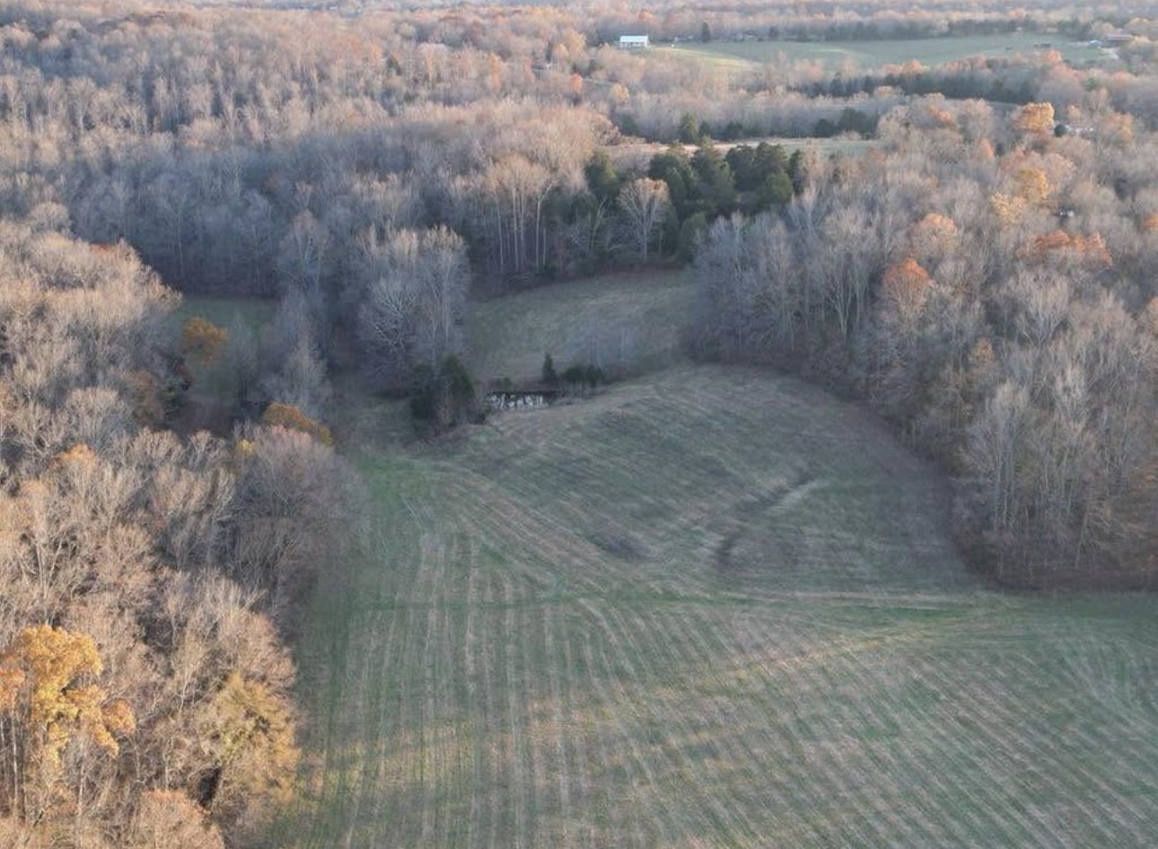 440 Joe Adams Road Erin, TN 37061 - Photo 6 of 10 Gallery Image 6