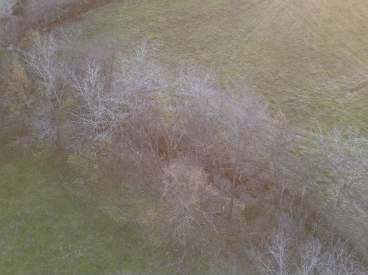 440 Joe Adams Road Erin, TN 37061 - Photo 7 of 10 Gallery Image 7