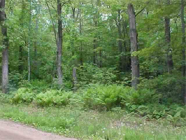 *** Dobbins Road Merrifield, MN 56465 - Photo 1 of 1 Gallery Image 1