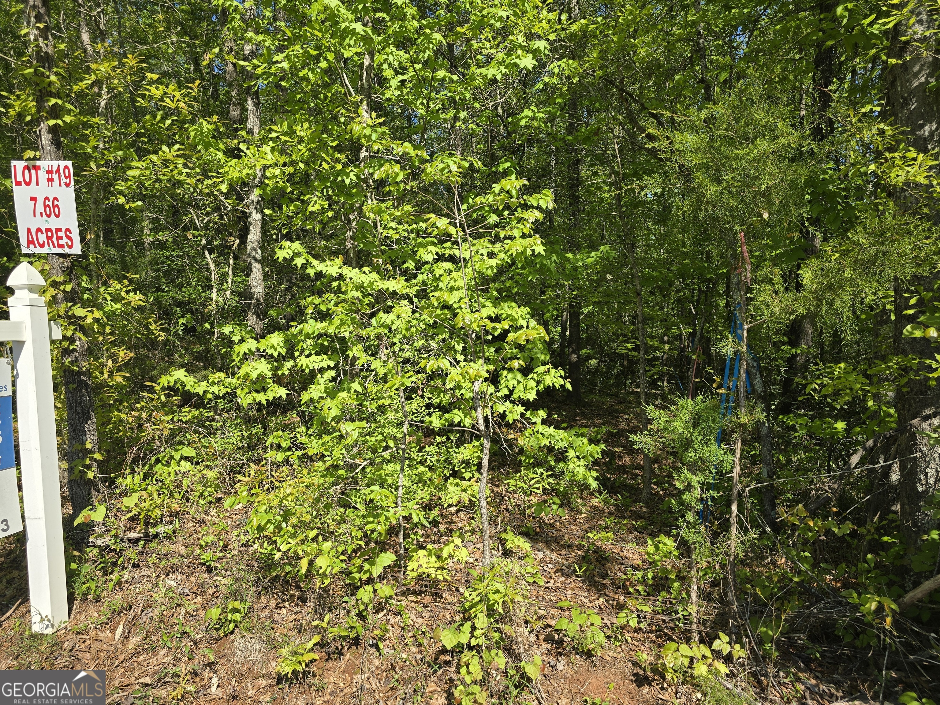 Lot 19 Smith Road Thomaston, GA 30286 - Photo 3 of 9