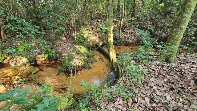 $294,000 | 2561 Creek Chase Trail, Pace, FL 32571