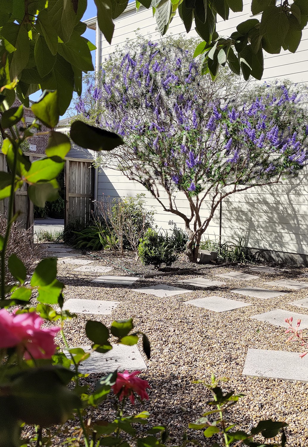 5951 S Loop East, Unit 47 Houston, TX 77033 - Photo 32 of 37 (Spring picture) Charming backyard with a flowering tree and well-maintained garden beds. Features a gravel path with stepping stones, creating a serene and inviting outdoor space.