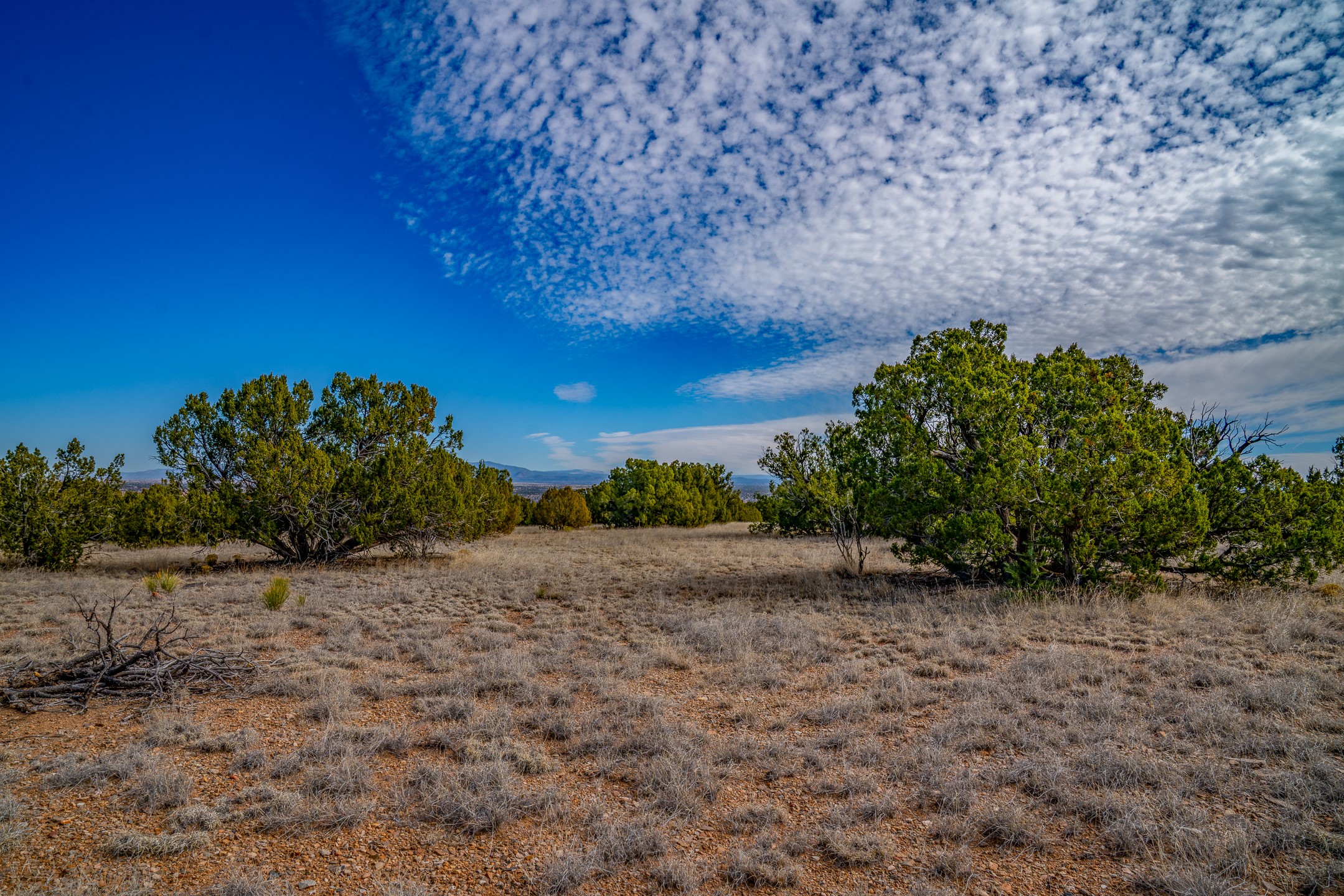 65 Grenfell Ranch Road Cerrillos, NM 87010 - Photo 20 of 46