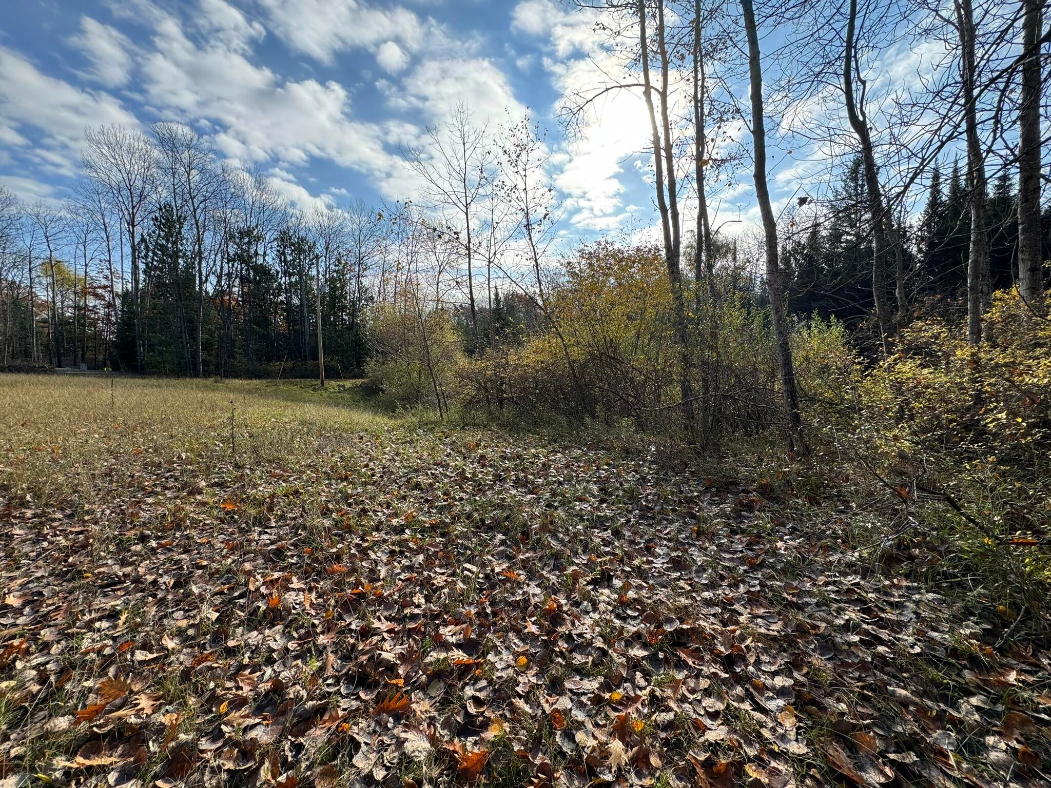 8220 Hubert Road Hubbard Lake, MI 49747 - Photo 3 of 25 Gallery Image 3