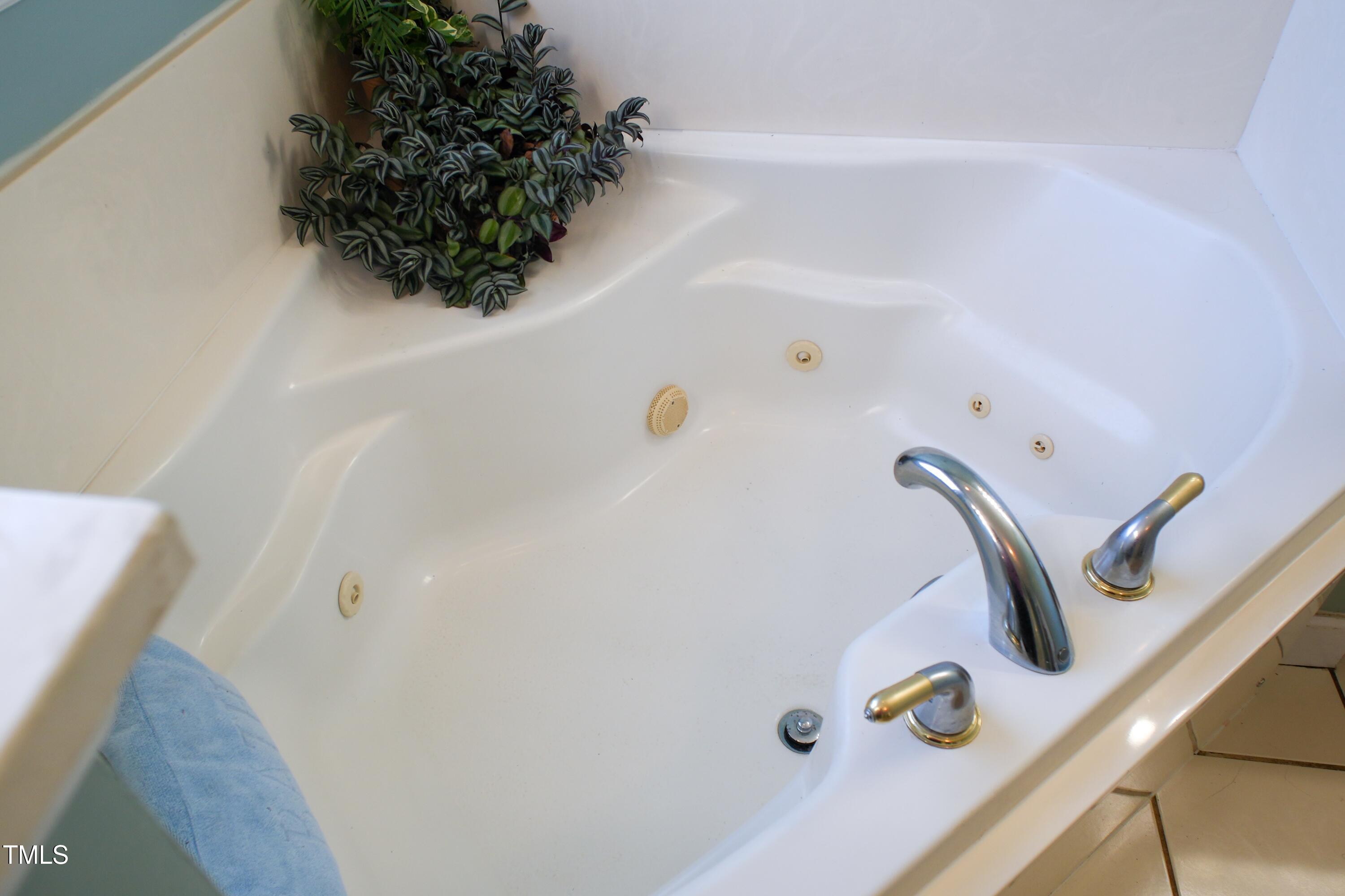 115 Hunters Walk Lane Clinton, NC 28328 - Photo 28 of 39 a bathroom with a tub