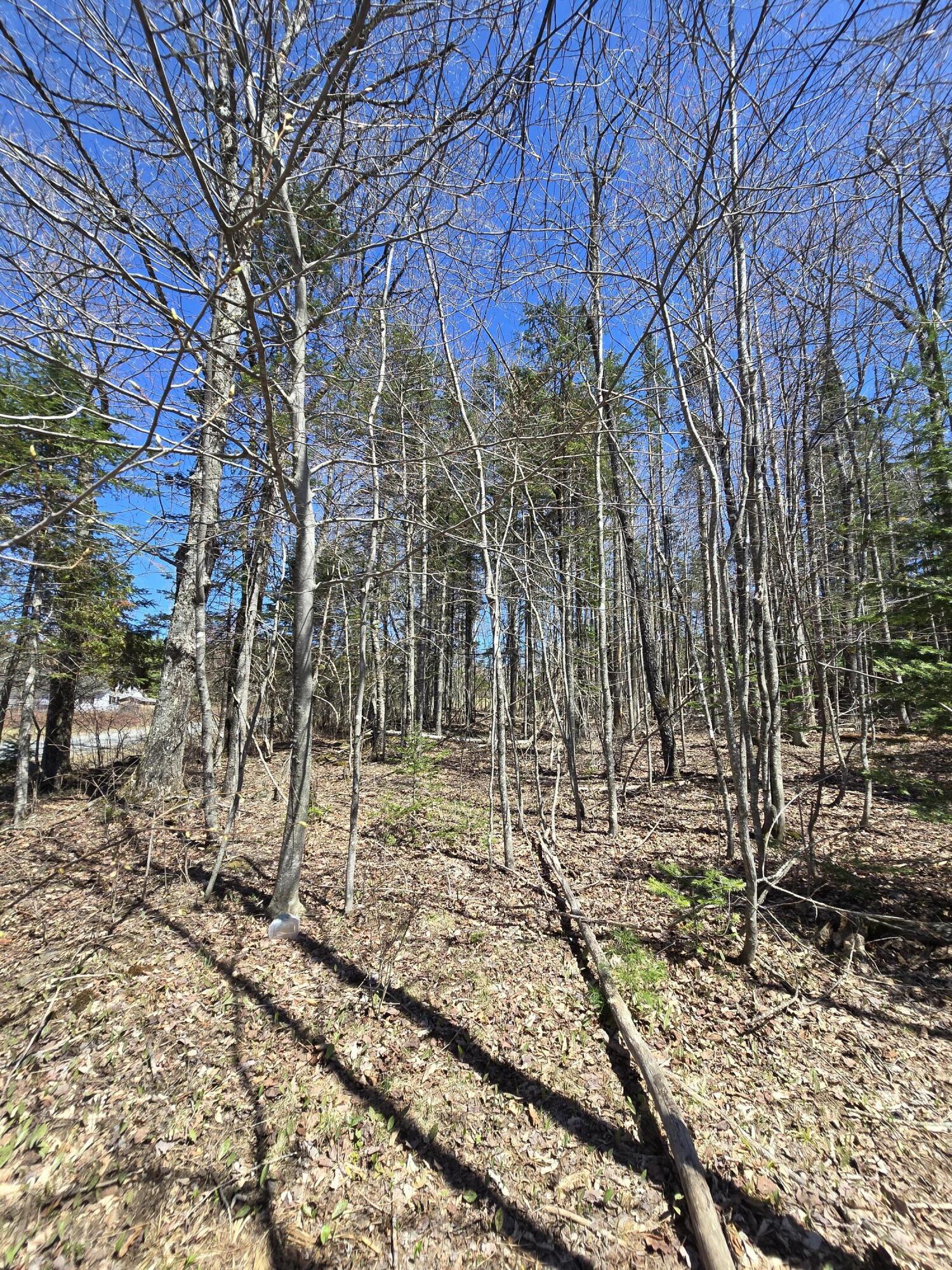 0 Grant Road Sangerville, ME 04479 - Photo 16 of 18 20250501_134606