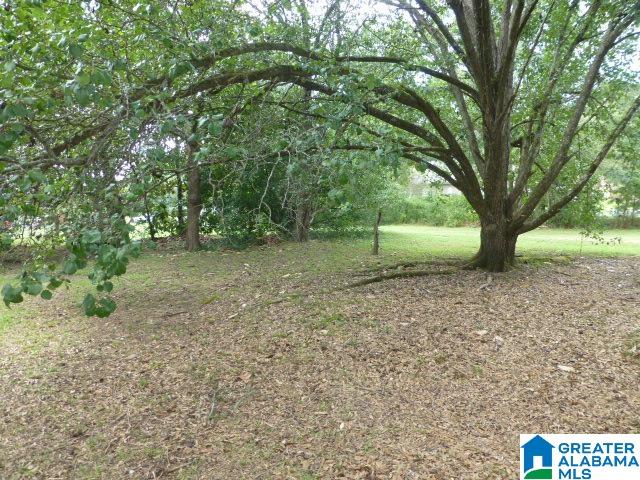 316 18th Street East Jasper, AL 35501 - Photo 6 of 9