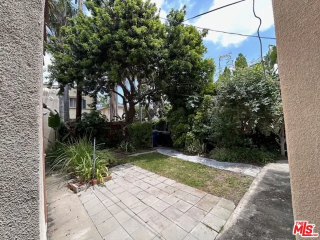 a view of backyard with plants and trees