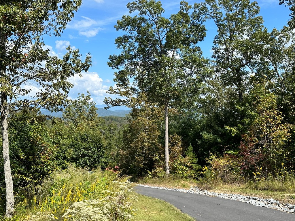 Lot 64 Lake Wood Road Murphy, NC 28906 - Photo 6 of 10 Gallery Image 6