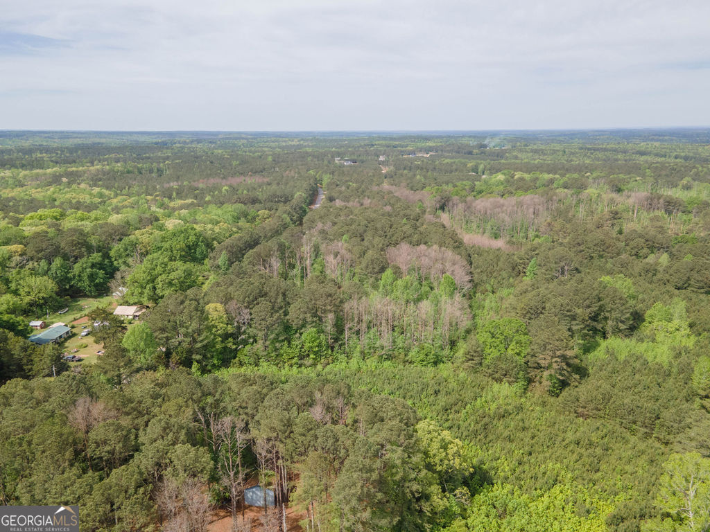 0 Beavers Road Grantville, GA 30220 - Photo 10 of 11