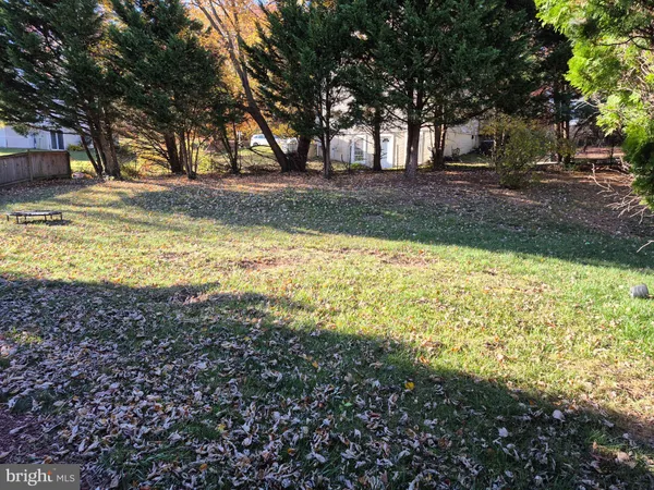 a view of yard with tree