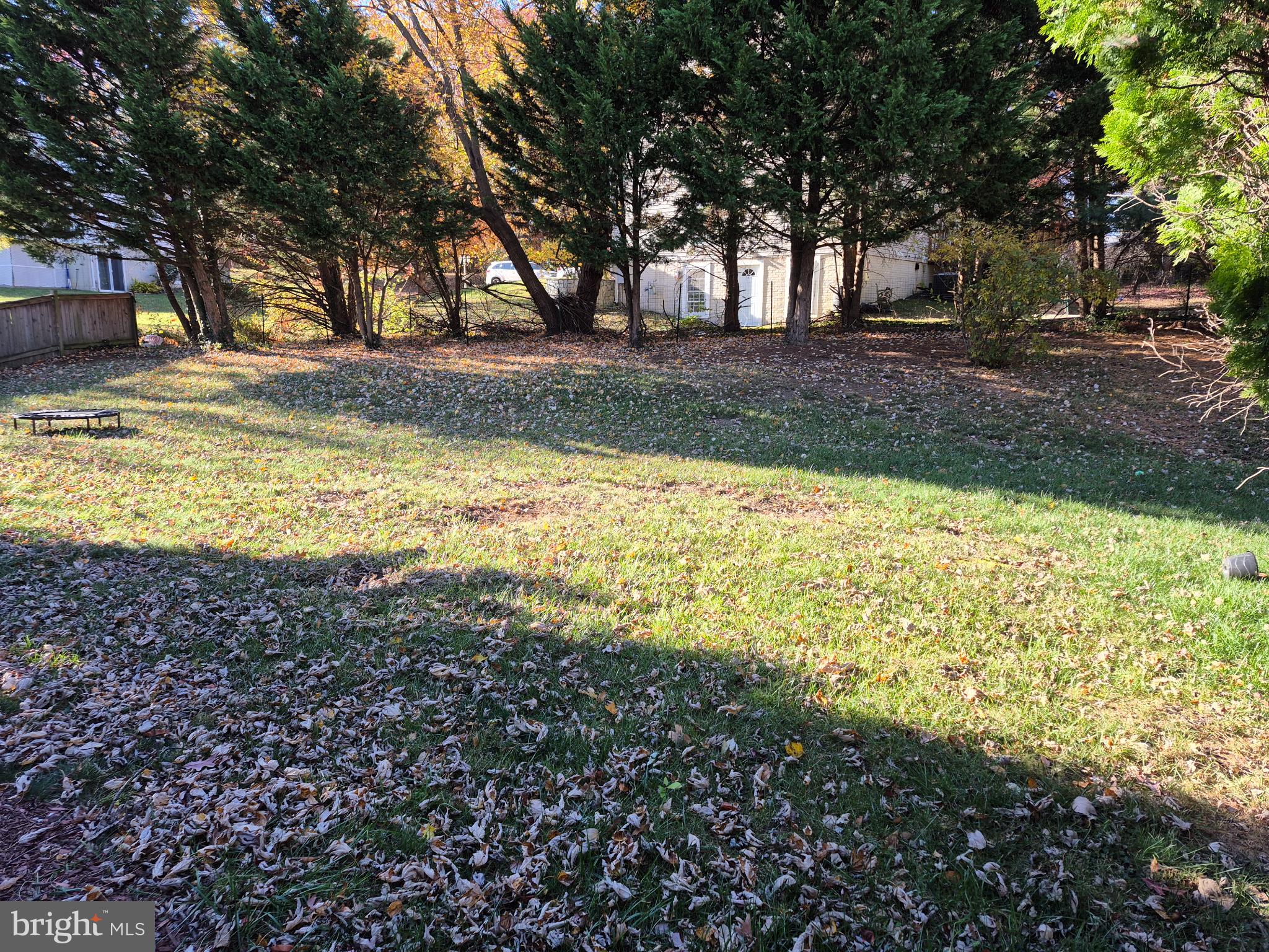 12512 Ofallon Street Silver Spring, MD 20904 - Photo 44 of 44 a view of yard with tree