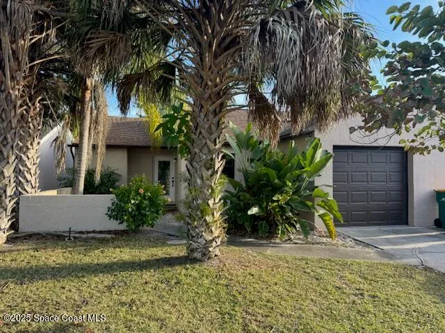 a view of a house with a yard and tree s