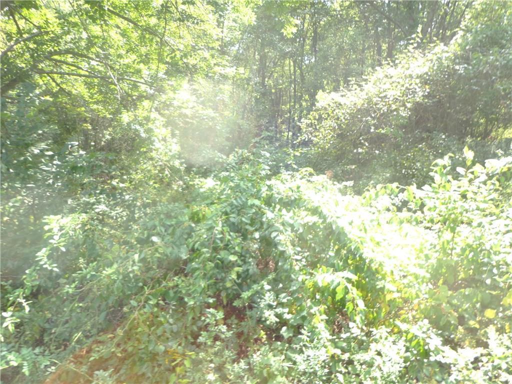 0 Bartholomew Hill Road Goshen, CT 06756 - Photo 1 of 1 Gallery Image 1