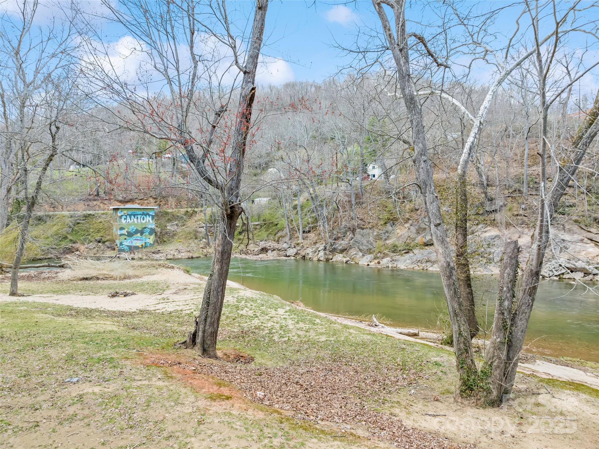 21 Riverbend Street Canton, NC 28716 - Photo 15 of 47 a view of a yard with large trees