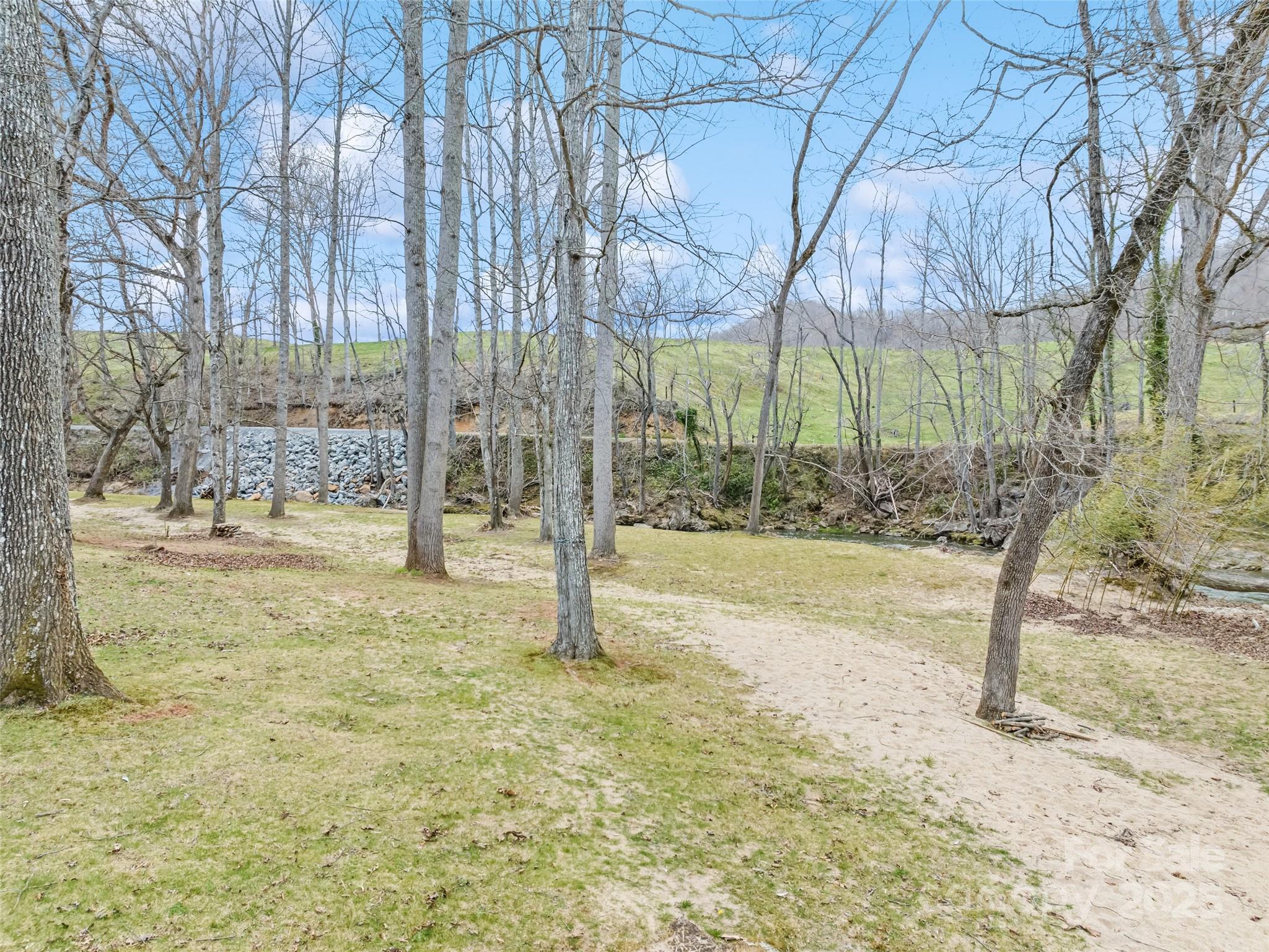 21 Riverbend Street Canton, NC 28716 - Photo 16 of 47 a view of a yard with a tree