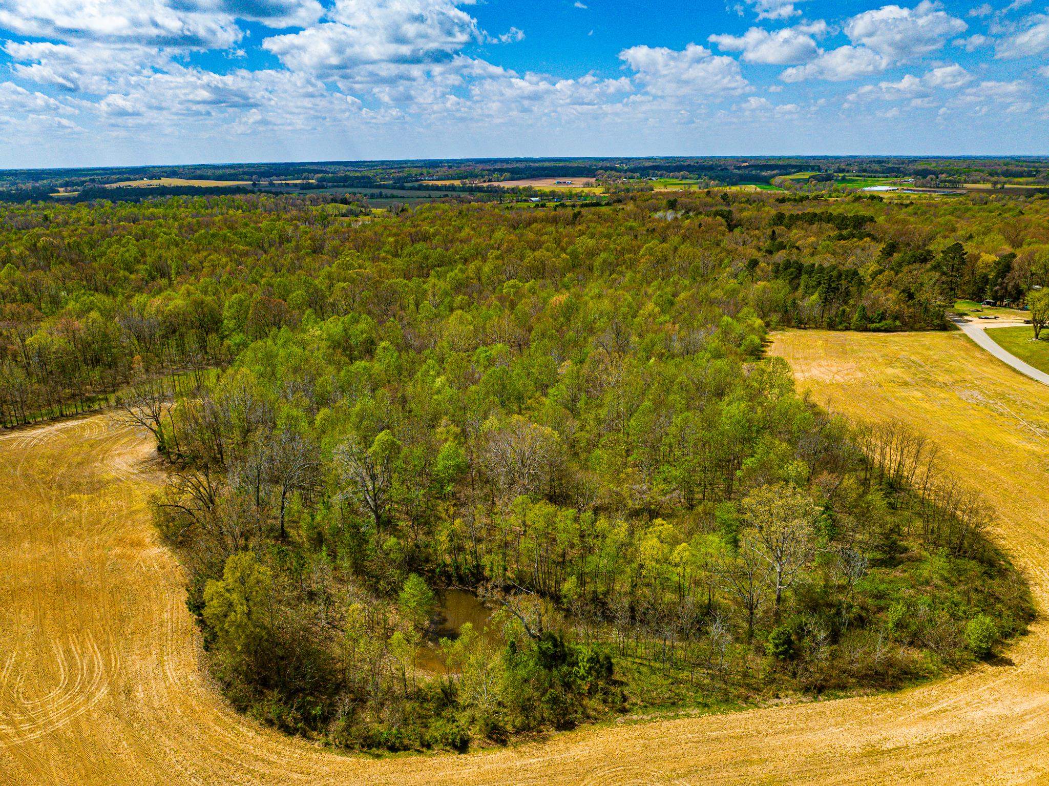0 Pisgah Road Dresden, TN 38225 - Photo 19 of 40 Gallery Image 19