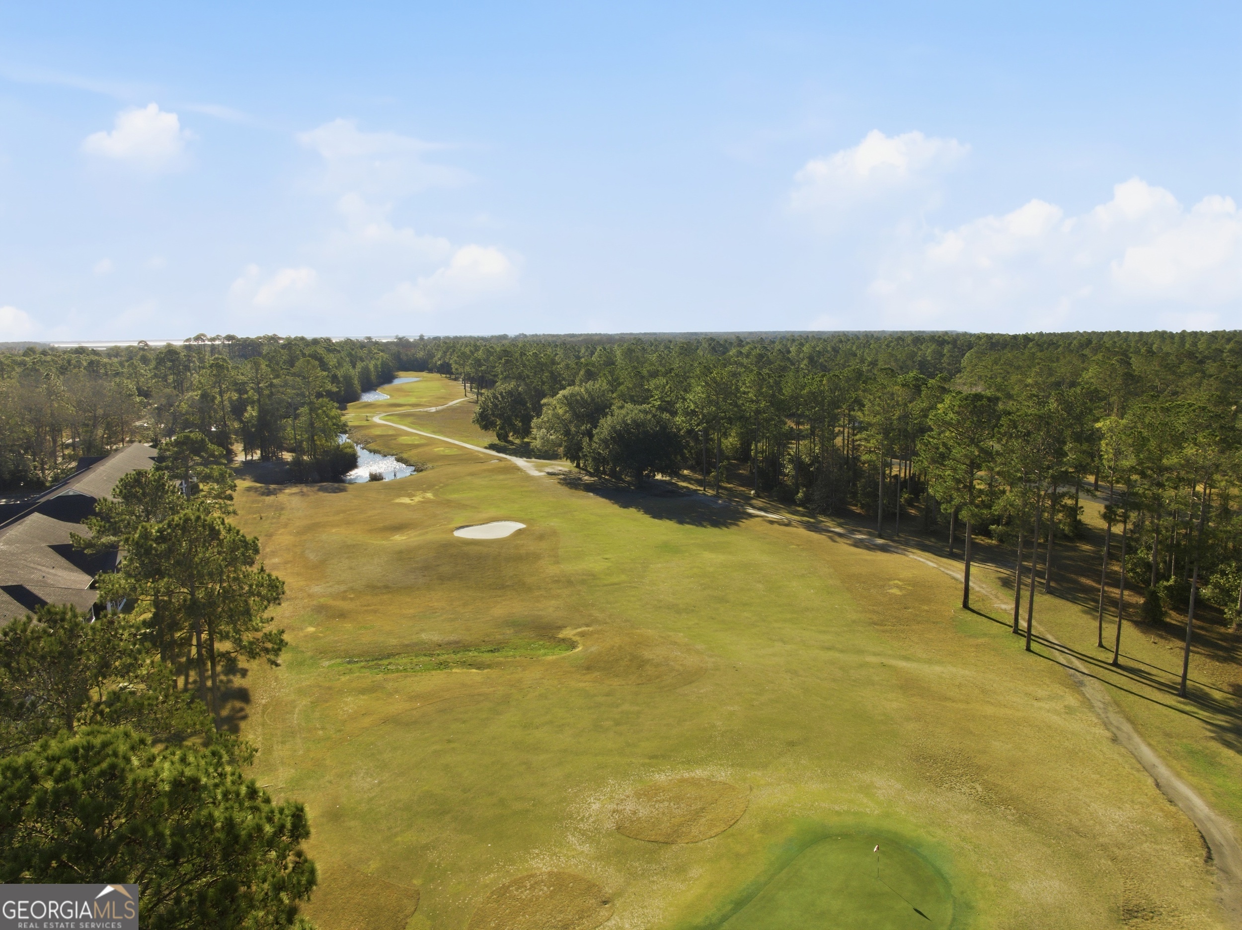 7272 Shellman Bluff Road Northeast, Unit 22 Townsend, GA 31331 - Photo 30 of 30