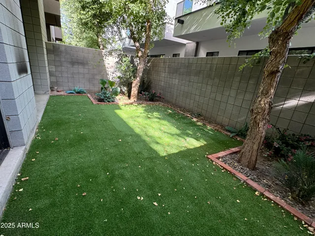 a view of a backyard