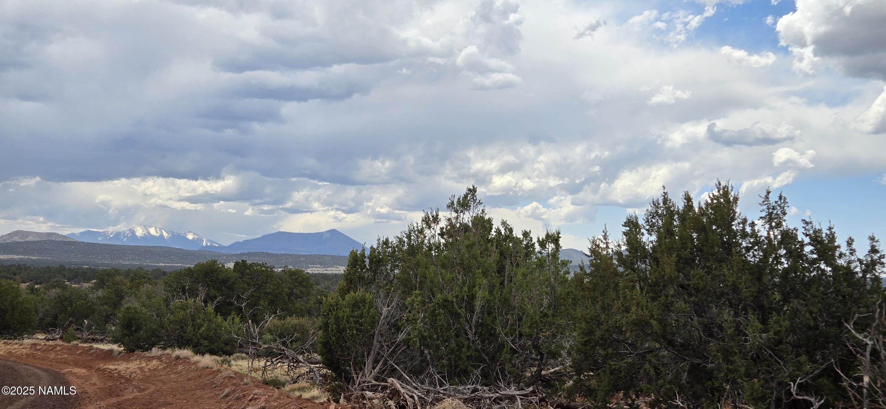 a view of a city and trees