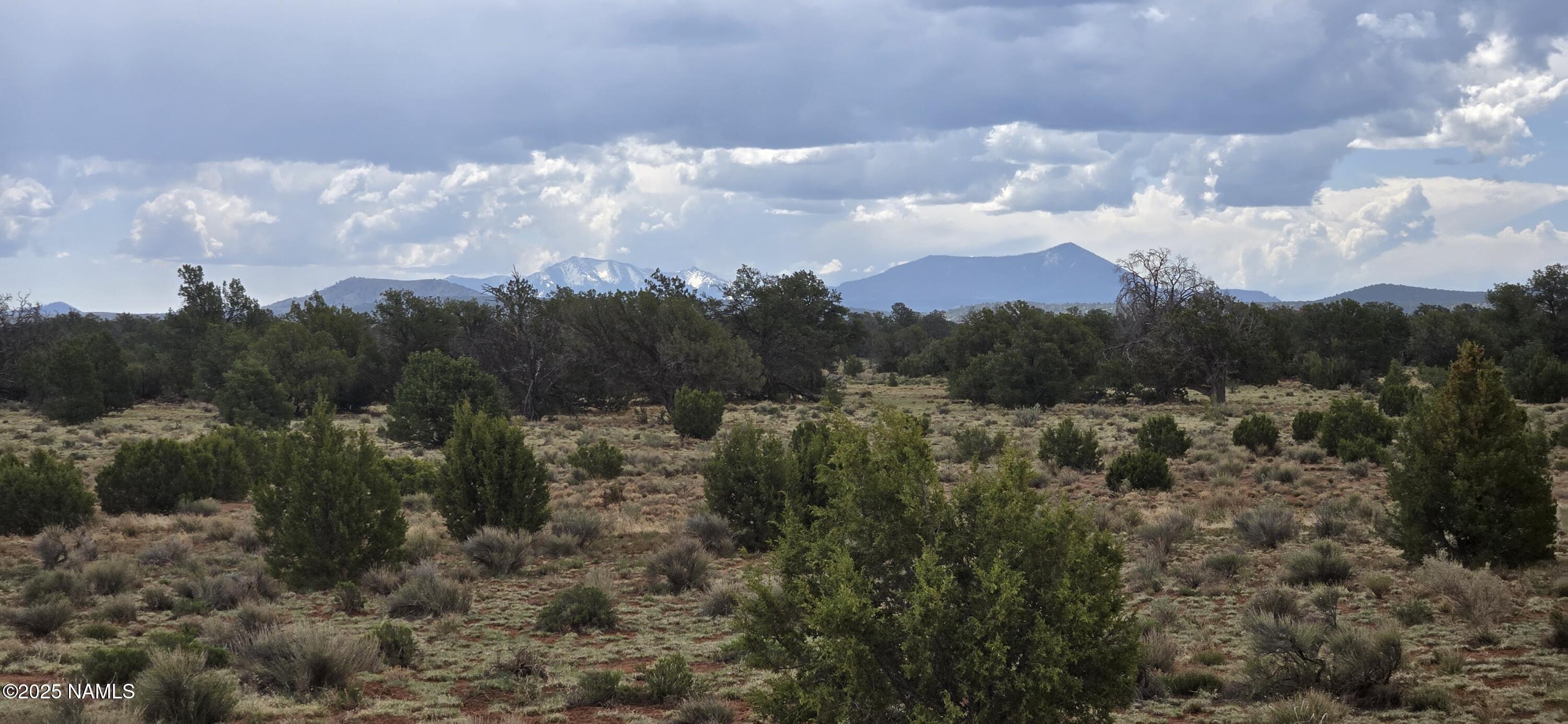 5666 Lasso Loop Williams, AZ 86046 - Photo 13 of 29 a view of a city