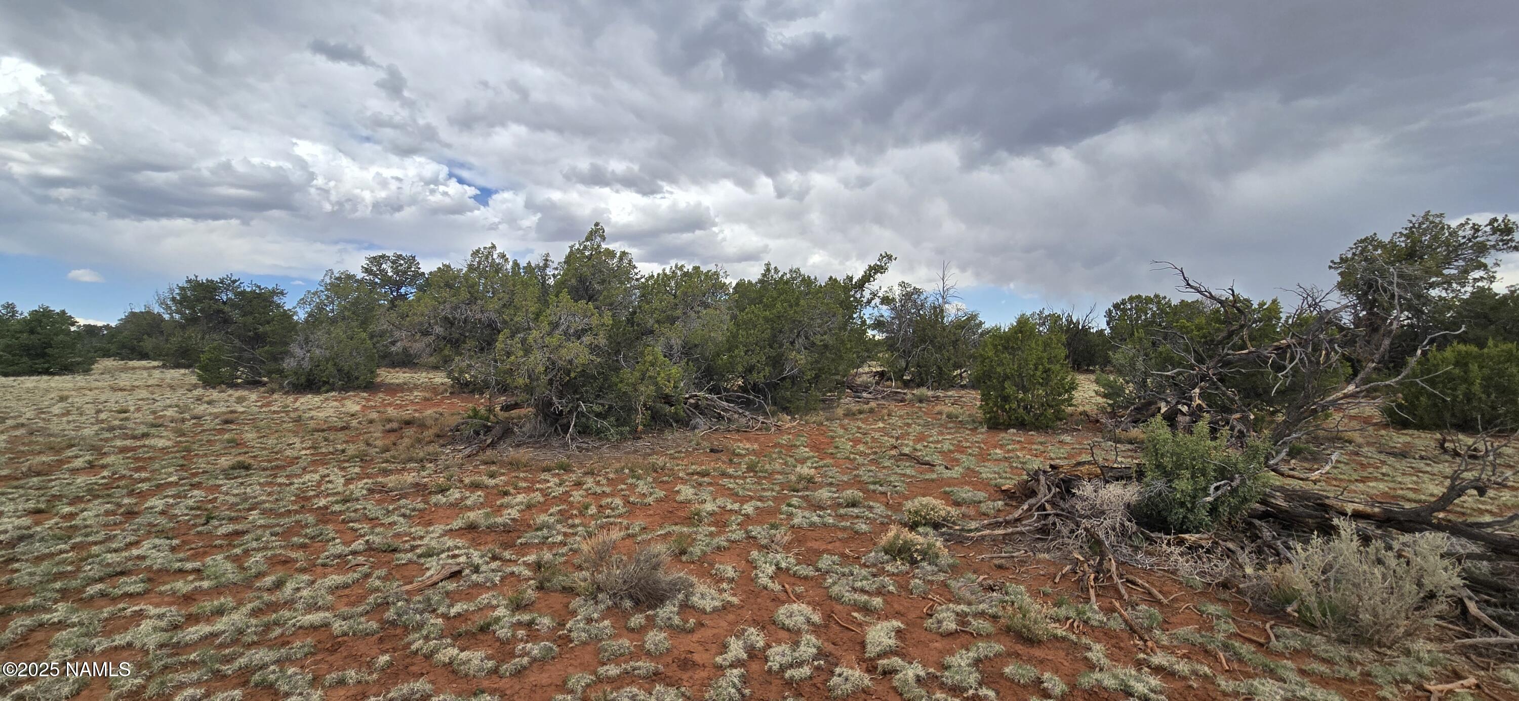 5666 Lasso Loop Williams, AZ 86046 - Photo 15 of 29 a view of a yard with large trees