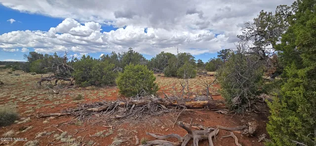 a view of a field with trees in the background
