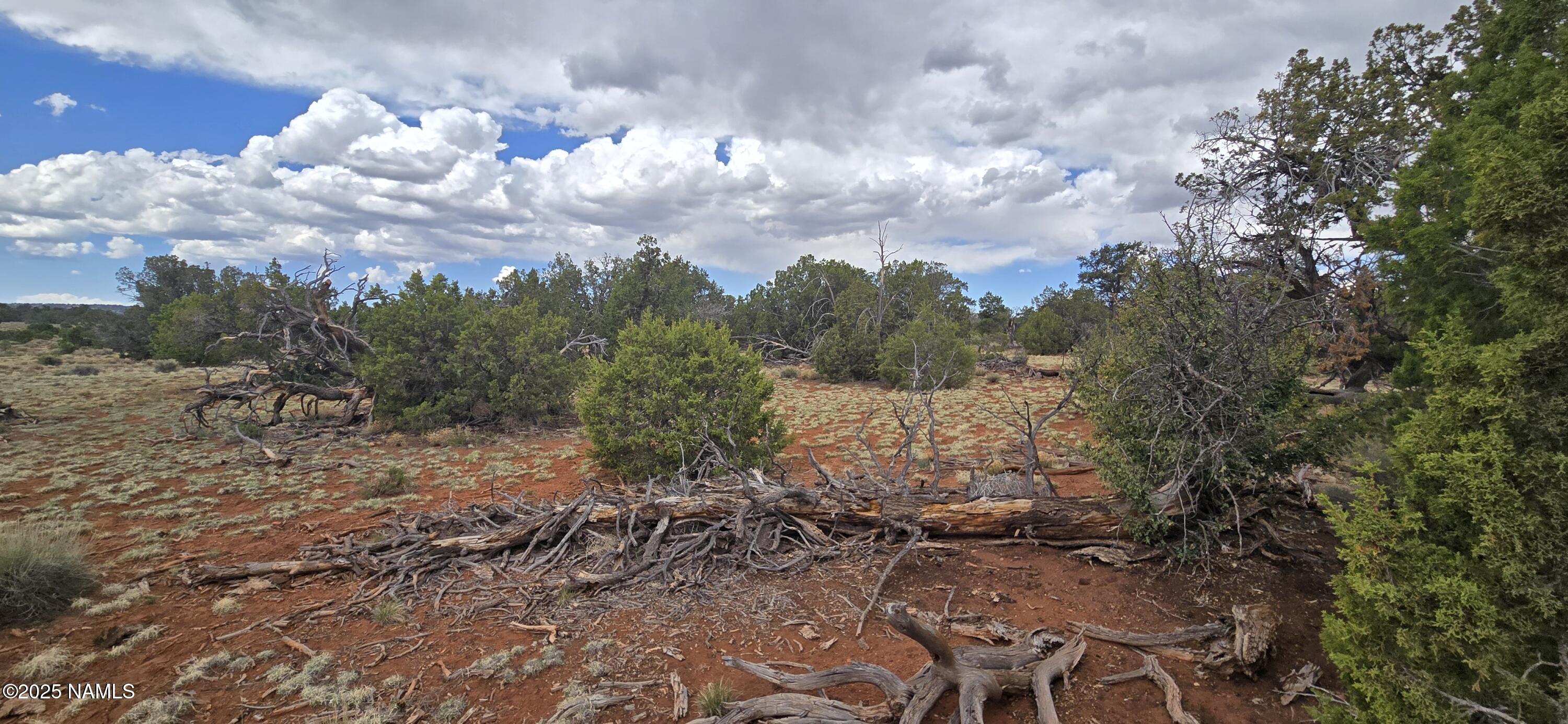 5666 Lasso Loop Williams, AZ 86046 - Photo 16 of 29 a view of a yard