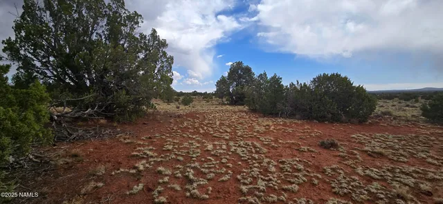 a view of a city with lots of trees