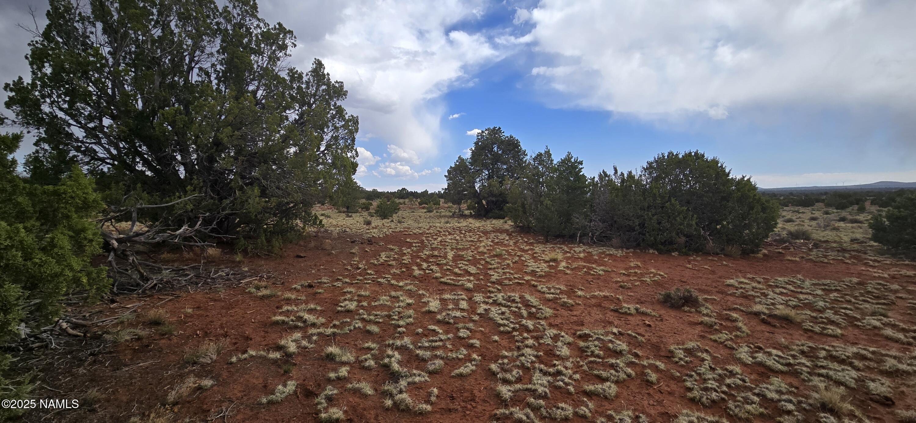 5666 Lasso Loop Williams, AZ 86046 - Photo 17 of 29 a view of a yard with trees in back