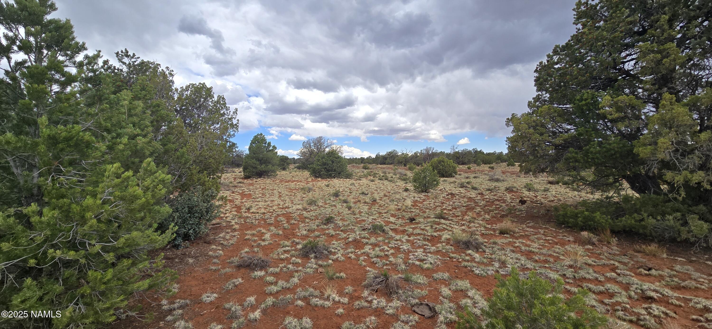 5666 Lasso Loop Williams, AZ 86046 - Photo 18 of 29 a view of a field with trees in the background