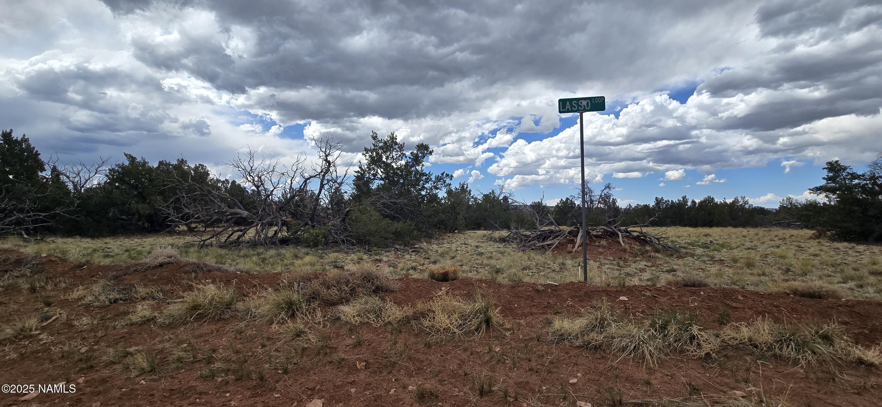 5666 Lasso Loop Williams, AZ 86046 - Photo 2 of 29 a view of a outdoor space