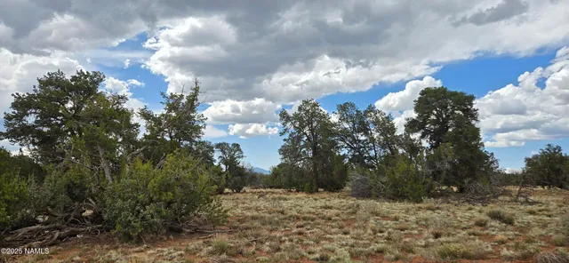 a view of an outdoor space with mountain view