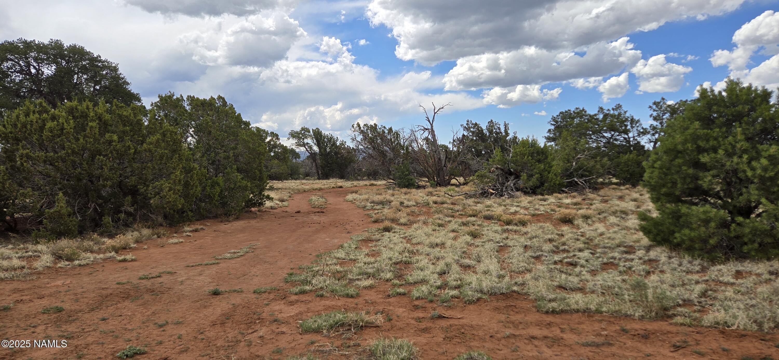 5666 Lasso Loop Williams, AZ 86046 - Photo 25 of 29 a view of a dry yard with trees