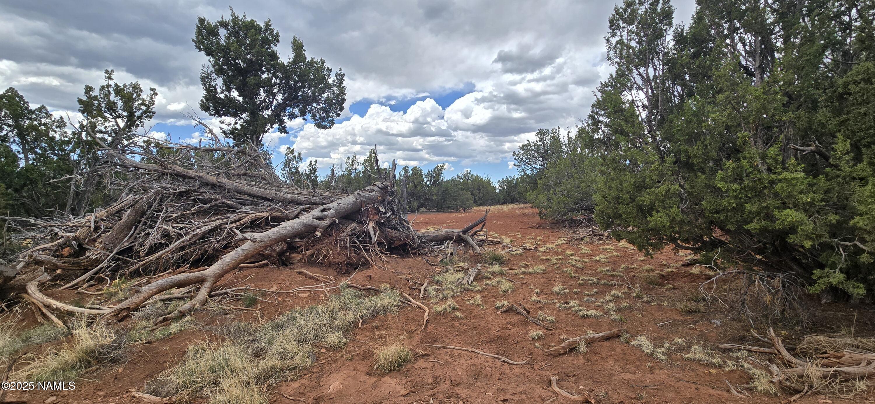 5666 Lasso Loop Williams, AZ 86046 - Photo 27 of 29 a view of a dry yard with wooden fence