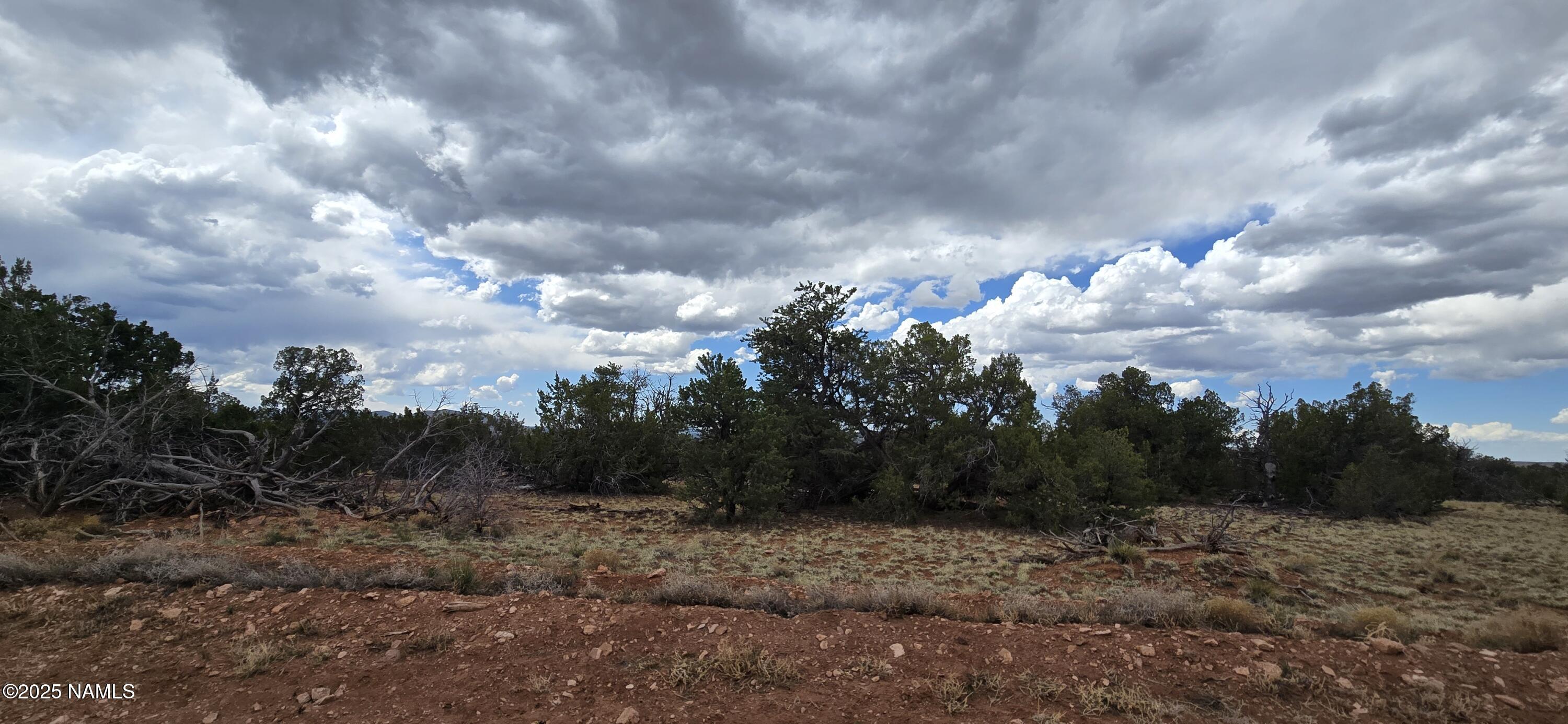 5666 Lasso Loop Williams, AZ 86046 - Photo 28 of 29 a view of a bunch of trees