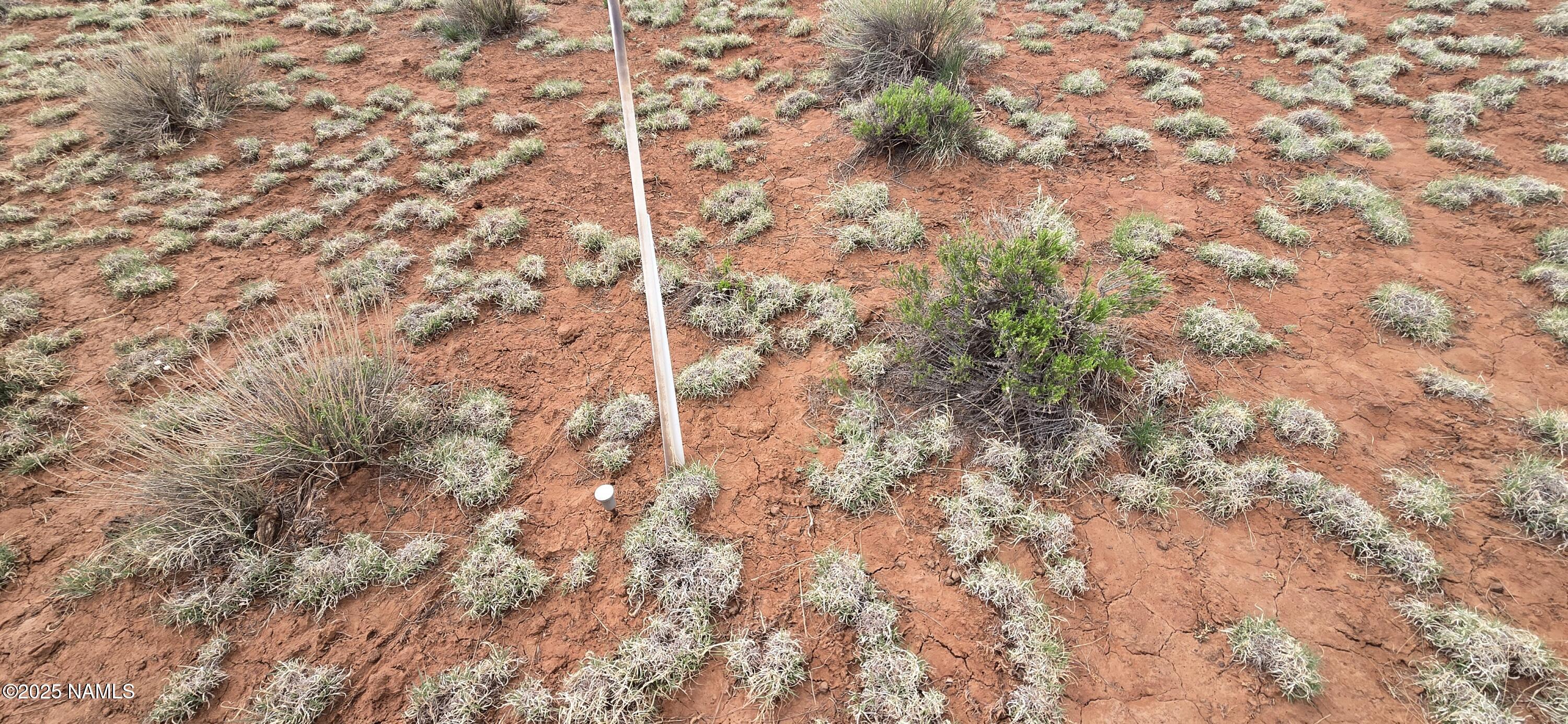 5666 Lasso Loop Williams, AZ 86046 - Photo 3 of 29 a backyard of a house