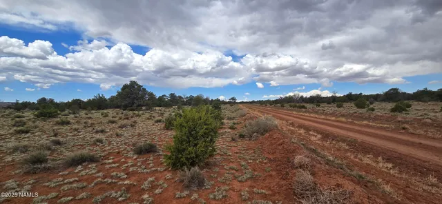 a view of a yard with wooden fence