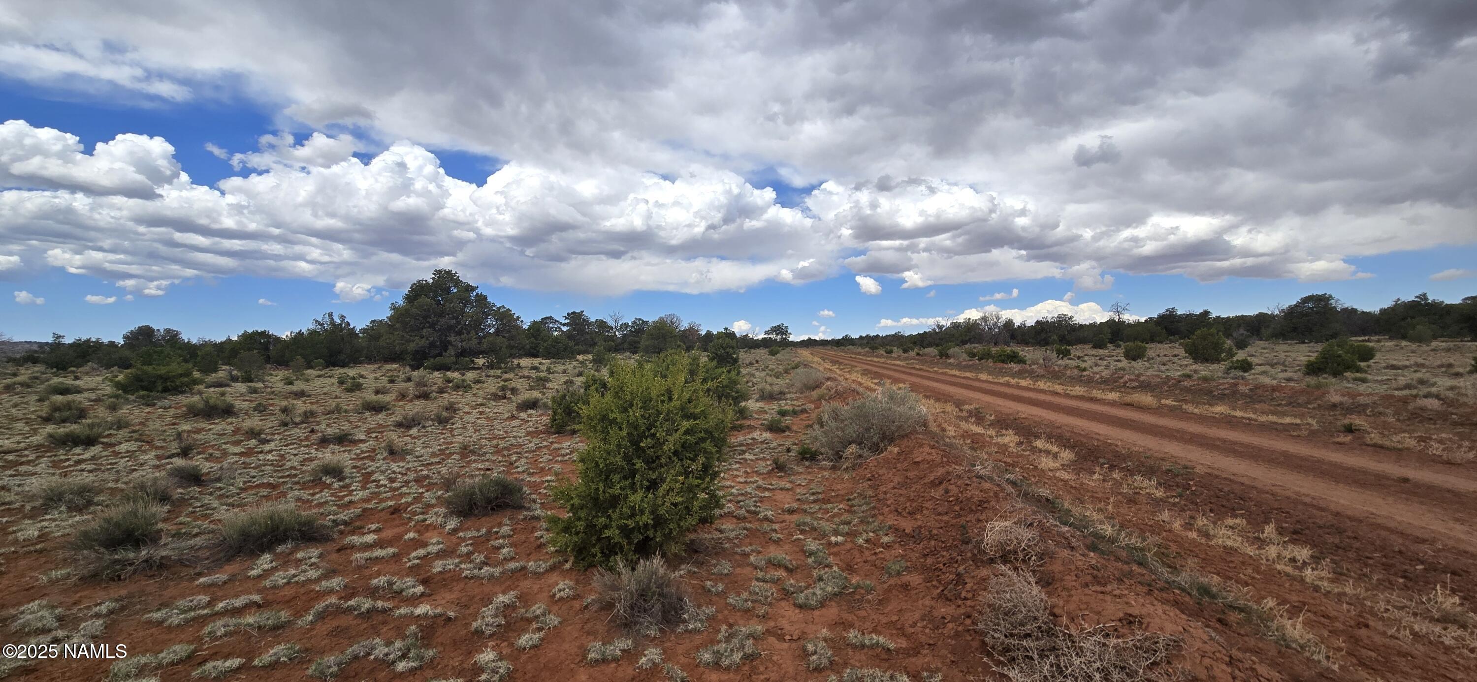 5666 Lasso Loop Williams, AZ 86046 - Photo 5 of 29 a view of a yard with wooden fence