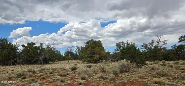 a view of a city with lots of trees