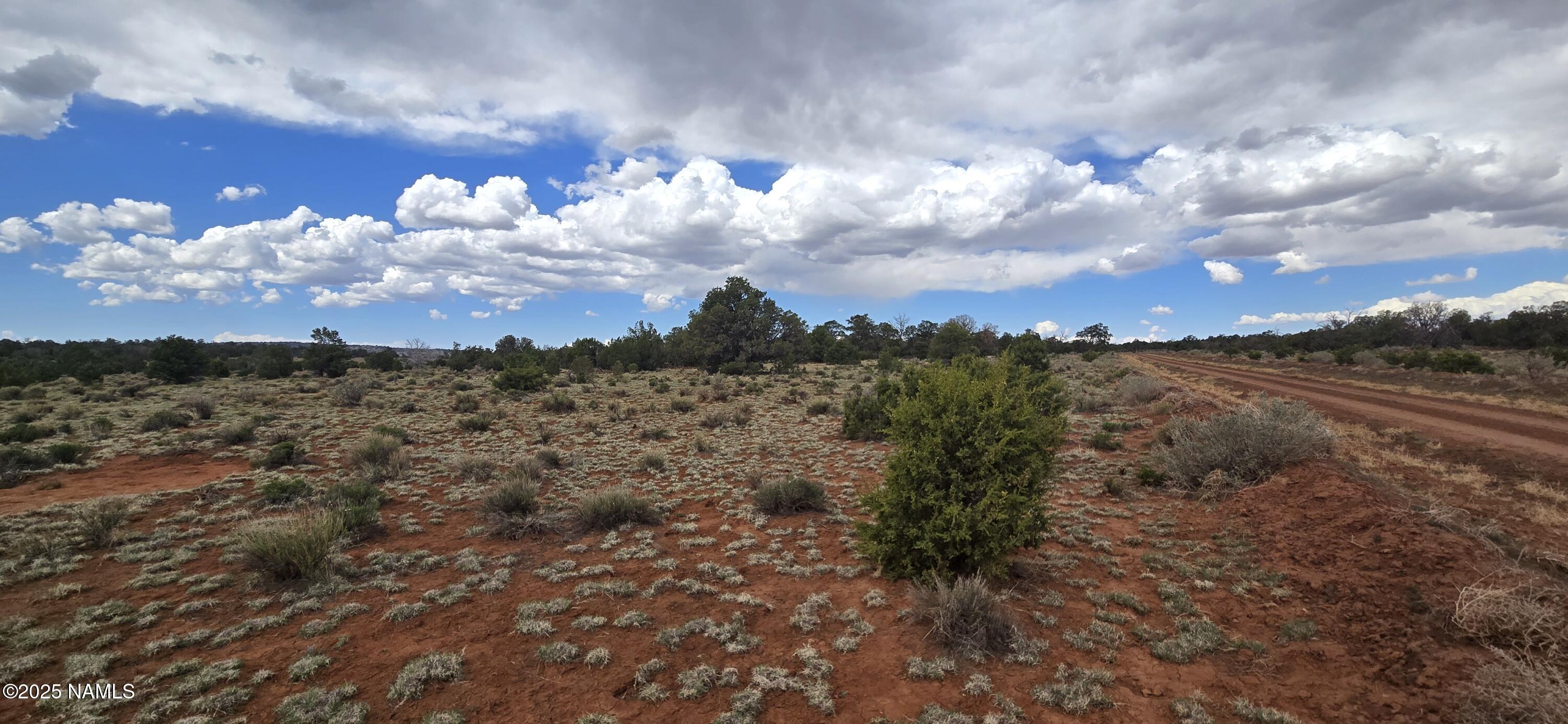 5666 Lasso Loop Williams, AZ 86046 - Photo 10 of 29 a view of a city with lots of trees