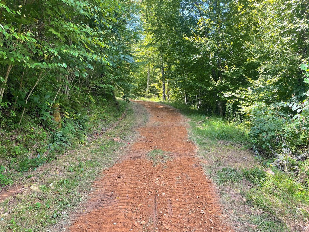 575 Vestal Cochran Road Topton, NC 28781 - Photo 44 of 53