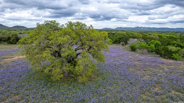 $349,500 | 2229 County Road 389, Camp Wood, TX 78833