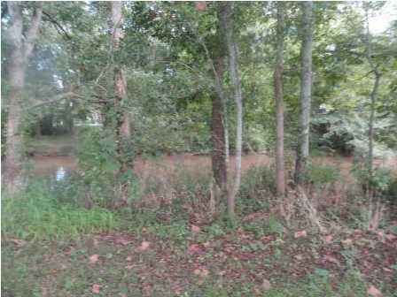 0 East Gloria Switch Road Lafayette, LA 70507 - Photo 2 of 11 Additional Photo