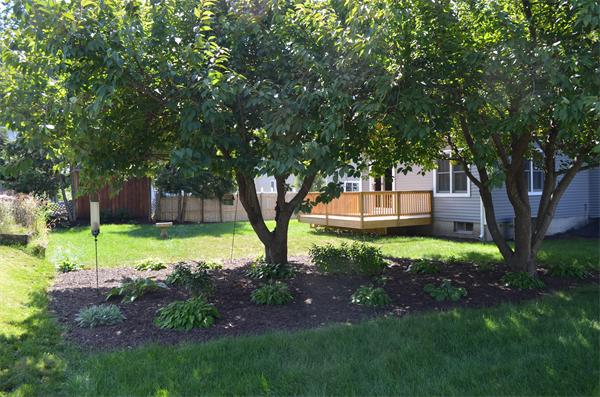 53 Rosella Street Springfield, MA 01118 - Photo 3 of 27
